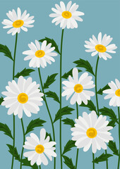 Fototapeta premium Daisy flower background.Eps 10 vector.