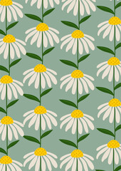 Daisy flower background.Eps 10 vector.