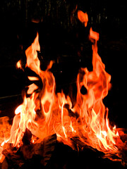 Vertical photos, Vertical fire photos, Camping