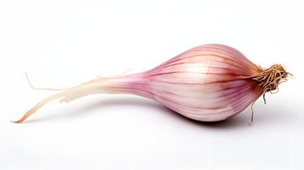 Shallot on white background