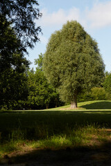 Stadtpark Soest, Kreis Soest, Juli 2023 
