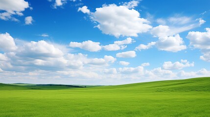 Fototapeta premium Green meadow under blue sky with clouds
