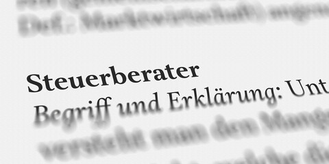 Das Wort Steuerberater im Buch erklärt