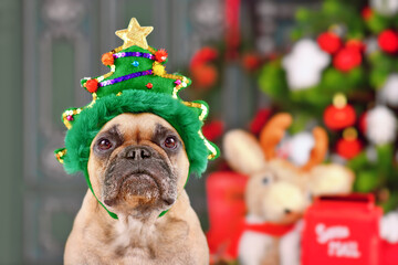 French Bulldog dog wearing funny Christmas tree headband