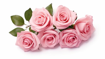 Pink rose flowers arrangement isolated on white