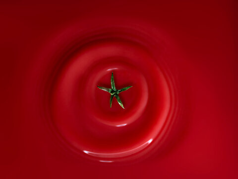 Full frame conceptual image of tomato sauce with a tomato stalk