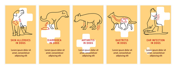 Top 5 conditions in dogs. Common diseases in adult animals. - 742508538