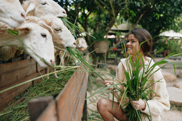 A woman in a bathrobe feeding sheep with green grass in front of a wooden fence