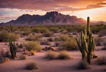 Abwaschbare Fototapete cactus in the desert © MUHAMMADSHEERAZ