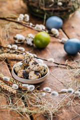 Easter Quail eggs with pussy willow branch, Easter and spring concept