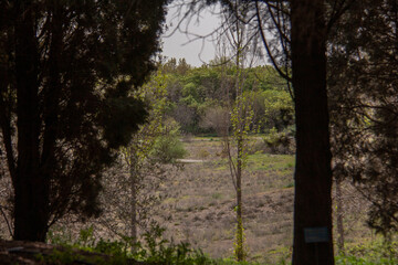 Tehran Botanical Garden and the old trees of this beautiful garden