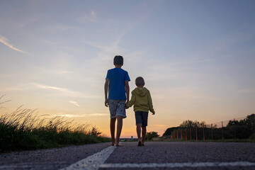 Two boys, brothers, children, blond boys with pet dog, maltese breed, walking on a road in rural,...