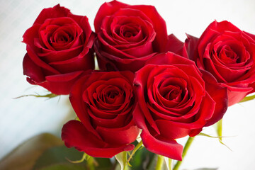 赤い薔薇