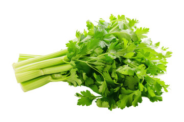 Celery isolated on transparent background