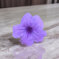 purple flower on wooden background