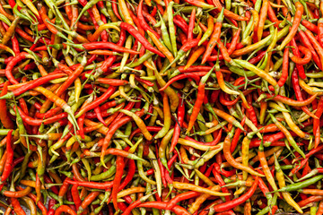 red and green chilli