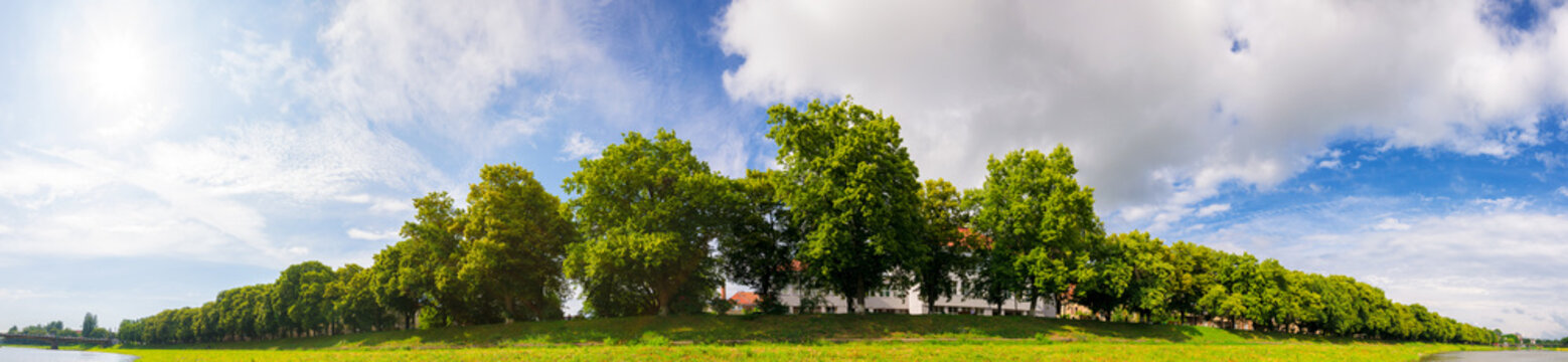 panorama of the longest linden alley in europe beneath a gorgeous sky with clouds on a sunny summer day. popular tourist attraction of uzhhorod in ukraine