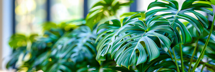 Lush green leaves creating a vibrant and fresh background, symbolizing growth and the natural...