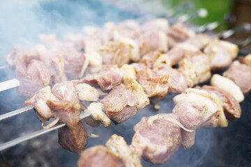 Delicious and juicy barbecue fried on coals in nature during a picnic. High quality photo