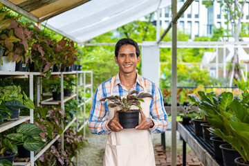 Portrait of Asian or Indian gardener working in his plant tree nursery garden center for summer...