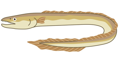はも　魚　徳島県　観光　名産　素材