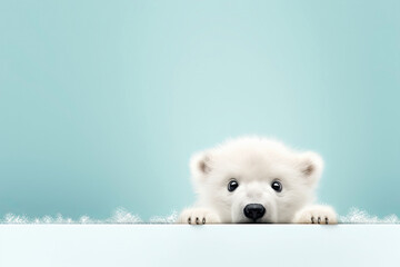 White polar bear portrait with copy space. Horizontal banner for International polar bear day or World wildlife day.