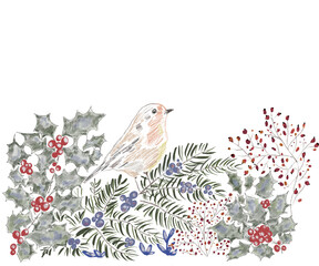 Watrecolor drawing of festive christmas greenery and the bird. Hand-drawn red berries, green branches, elements isolated on white background.