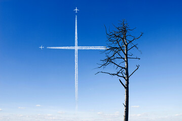 dead pine tree, condensation trails in shape of a cross, in blue sky as symbol for tree death or...