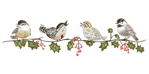Watrecolor drawing of festive christmas greenery and the birds on one branch with green leaves and red berries. Hand-drawn red berries, green branch, birds, elements isolated on white background.