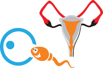perm, egg, Uterus and Ovary in editable vector. Fertilization with Zygote and sperm. Genetically Fusion to form a diploid zygote. Gynecology and fertility clinic services icons. eps 10 