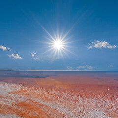 pink saline lake under a sparkle sun