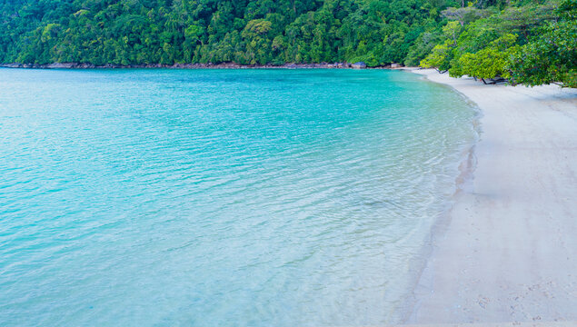 white sand beach with Tropical Island Aerial View. Wild coastline lush exotic green jungle.