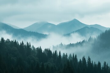 Misty foggy landscape with fir forest and mountains.