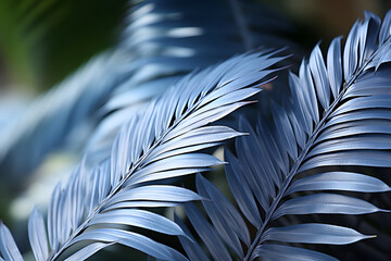 Close up of Blue Tropical Plants in The Forest with Glossy Effect