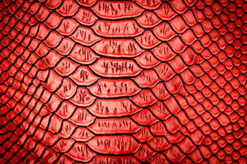 Red snake skin texture pattern can see the surface details.
