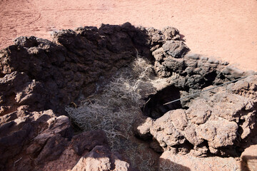 Natural volcanic ovens. Demonstration of geothermal heat a few meters from the surface in the Timanfaya Park (Lanzarote, Spain)