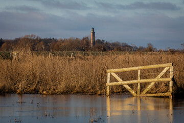 Überschwemmung der Felder im Winter an der Hohwachter Bucht mit dem Leuchtturm Neuland in...