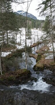 Oberlauf der Rottach Bach zwischen Suttensee am Fu&szlig;e des schneebedeckten Wallbergs