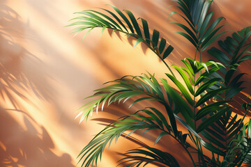 A palm tree casting a shadow on a wall, creating a minimal abstract background with a tropical feel, with copy space