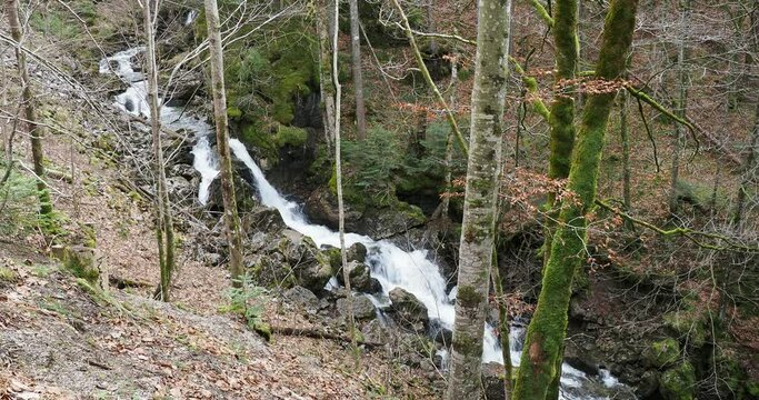 Rottach, kleiner Fluss Oberlauf den Suttensee, Almgebiet entlang der H&auml;nge von Wallberg und Blankenstein bis in Tegernseer Tal 
