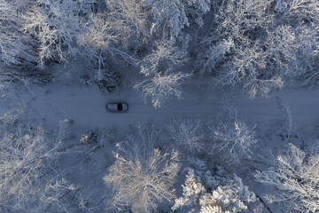 Car ride on a snowy forest road. Winter photo
