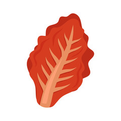 Cabbage kimchi icon vector isolated. korean dish doodle icon, vector illustration
