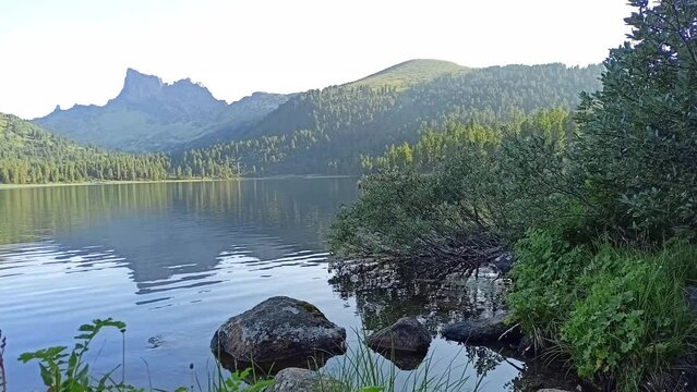 Thickets of tall bushes and a stone above the surface of a large lake surrounded by mountain peaks on a sunny summer evening. Lake Svetloe, Natural Prak Ergaki, Krasnoyarsk Territory, Siberia, Russia.