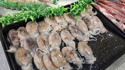 Fresh raw cuttlefish, sepia or cuttles for selling in a plate in a fish market in Banjar City, Indonesia.