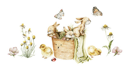 Watercolor set. Hand drawing illustration of basket with little bunny, chick, daisy, leaves. Rabbits, field flowers isolated on white background. Cute spring illustration for easter card design, print