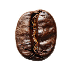 coffee bean on isolated background
