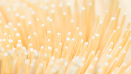 Toothpick tips close up