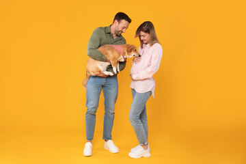 Excited European couple, man and pregnant woman, posing with their pembroke welsh corgi dog, pet...