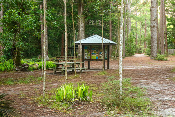 Central Station, the former hub of the forestry industry in the heart of the rainforest of Fraser...