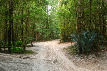 Central Station, the former hub of the forestry industry in the heart of the rainforest of Fraser Island, the largest sand island in the world located off the coast of Queensland in Australia
